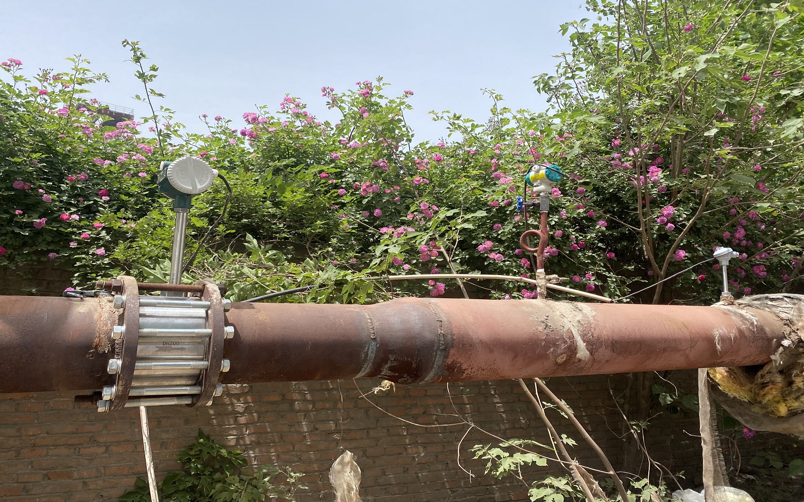 1697526780453425.jpg 1697526780453425.jpg